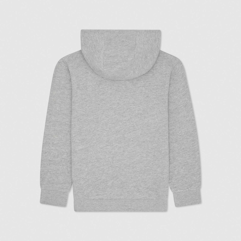 Conjunto de treino Cercare