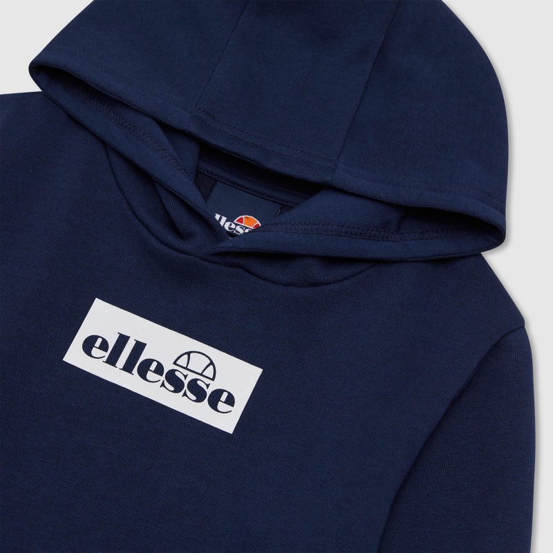 Conjunto de treino Cercare