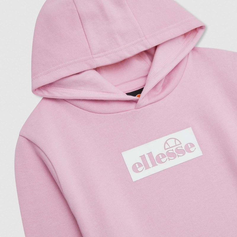 Conjunto de treino Cercare